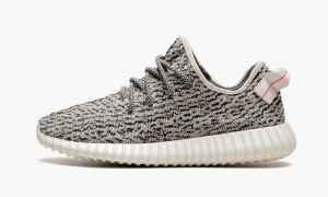 Yeezy Boost 350 Turtle Dove WOMEN