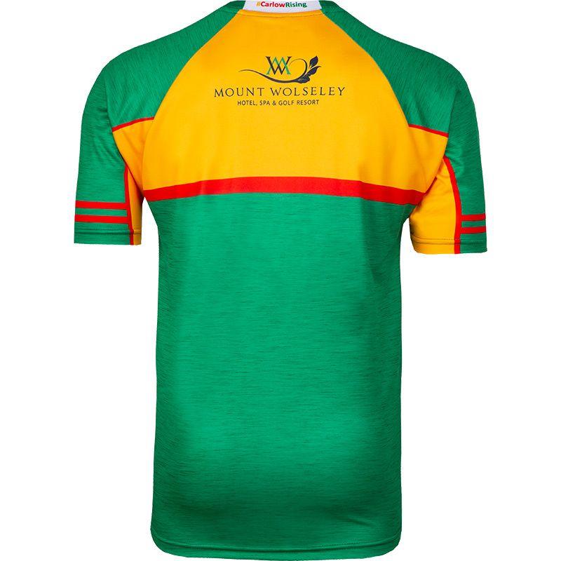 Carlow GAA 2-Stripe Men's Away Jersey